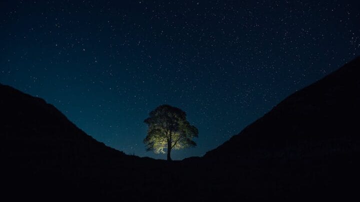 Accédez à 1jour1film : l’adresse officielle