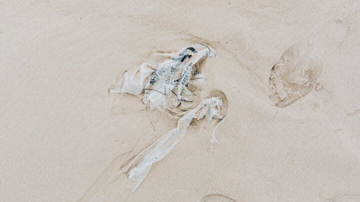 Cpasbien : Adresse mise à jour et usage sécurisé