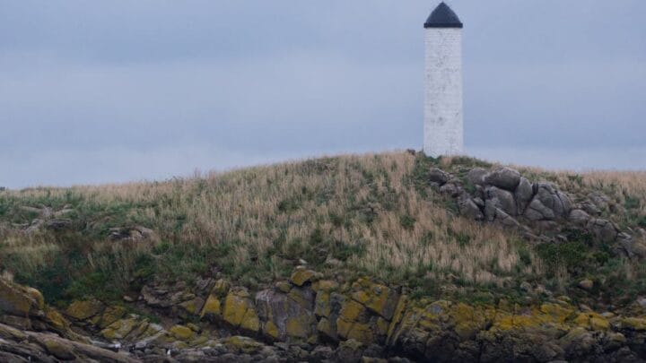 Maxton Hall streaming : tout savoir sur la série