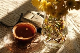 Cafetière : Test de Tassimo Fidelia : avis et prix 2026