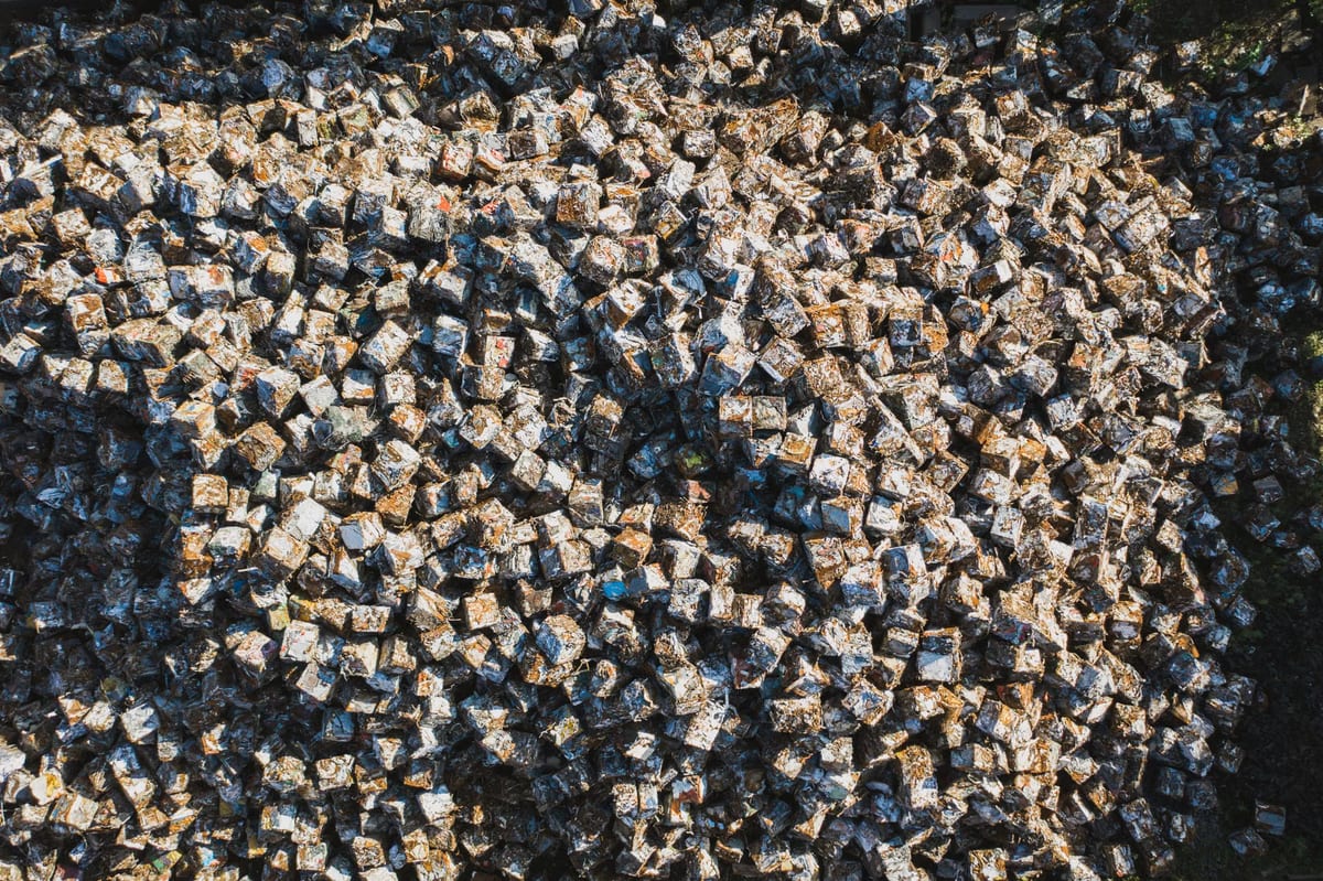 Les débouchés du BTSA environnement et développement durable